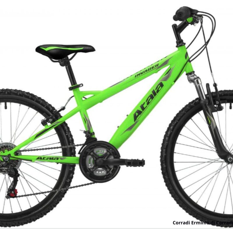 Atala Invader 24"