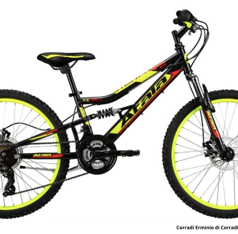 Atala Storm MD