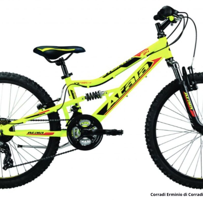 Atala Storm VB