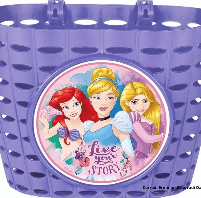Cestino Principesse