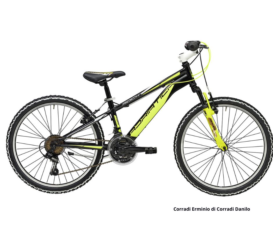 Adriatica Mtb Rock 24"