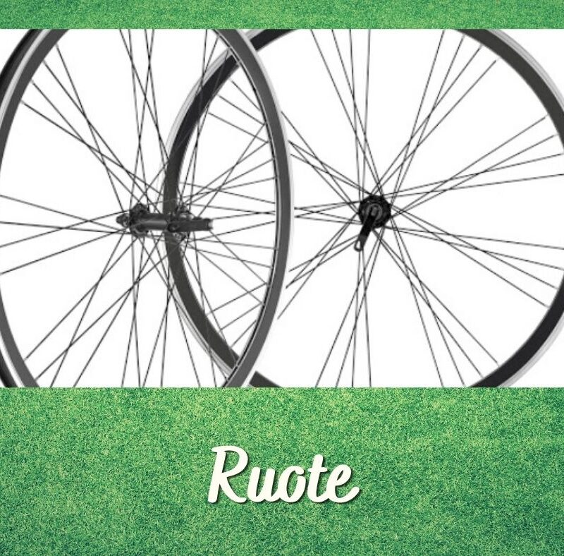 Ruote