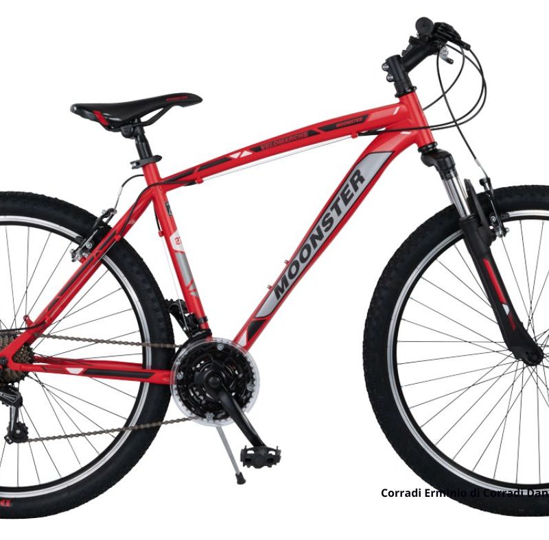 Velomarche MTB Moonster - 18 velocità