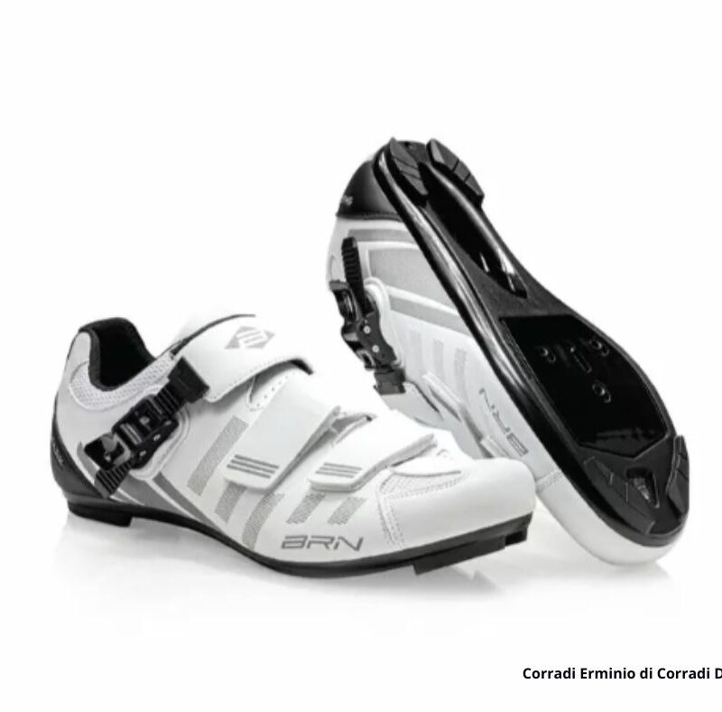 Scarpe BRN Shark Road