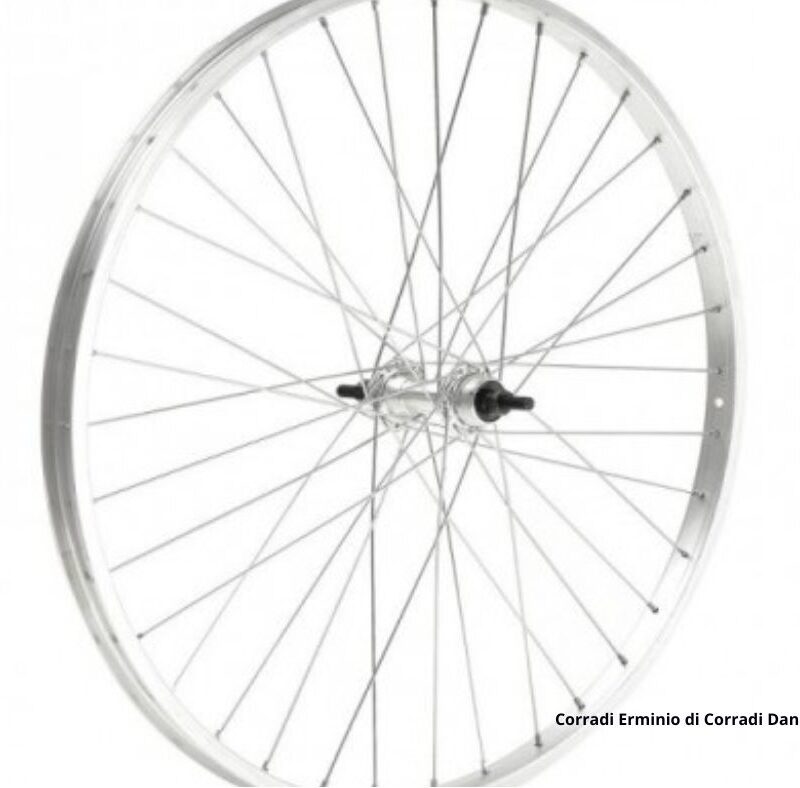 Ruota 26x1,75 anteriore